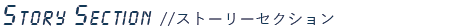 ストーリーセクション